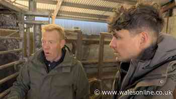 BBC Countryfile star's emotional comment on 'dark' times before his death aged 35