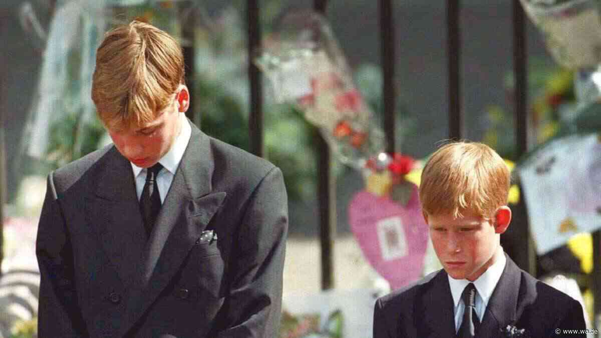 Prinz Harry suchte viele Jahre nach Dianas Tod nach Beweisen: „Glaubte nicht, dass sie fort war“