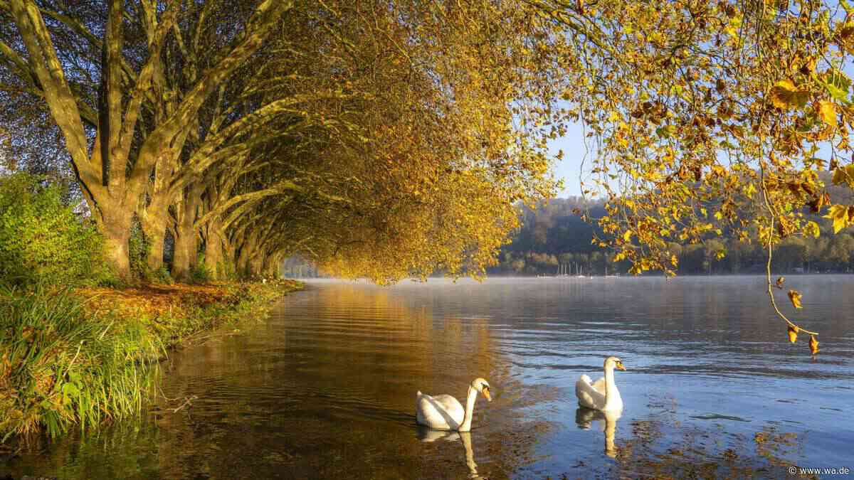 Die schönsten Herbstwanderungen in NRW – 10 Touren, die jetzt besonders reizvoll sind