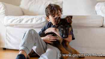 Dog trainer shares 'harsh truth' for owners across UK