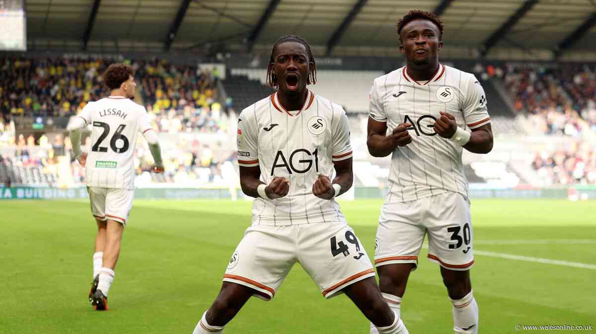 Swansea City player ratings as front men deliver and tackling machine impresses