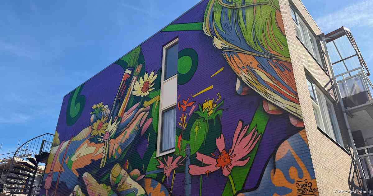 Apeldoorn krijgt er wat kleur bij: nieuwe muurschildering siert de Nieuwstraat