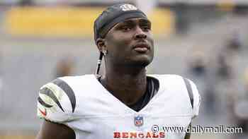 Bengals star ridiculed for revealing his team's secret plan to thwart Dolphins quarterback Malik Willis to reporters