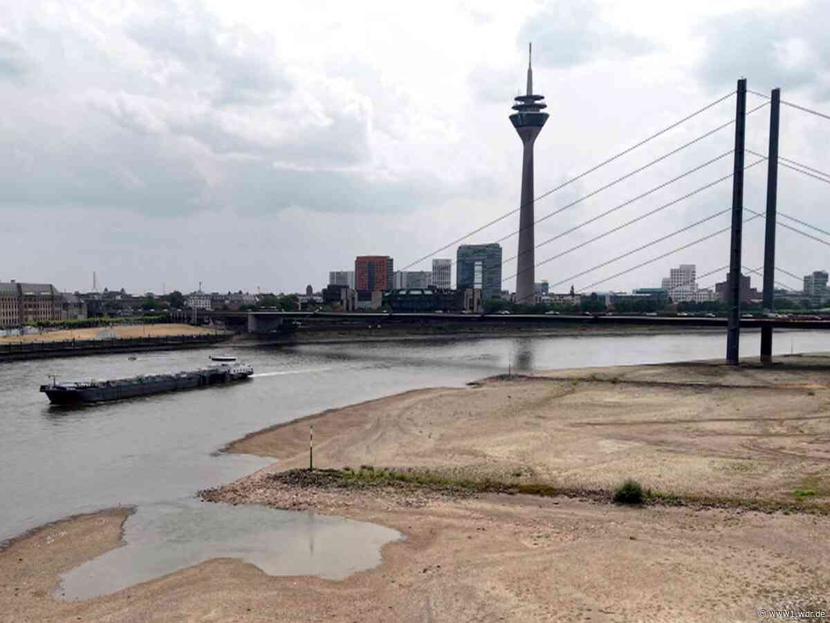 Niedrigwasser am Rhein: Warum Regen noch nicht hilft