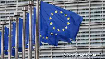 Merz sieht bei irischem Vorschlag für EU-Haushalt "keine Grundlage für Einigung"