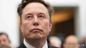 Trolling or part of a larger plan?: Why Elon Musk waded into the separatism debate