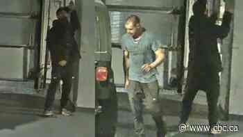 Waterloo police seek suspects in Kitchener vehicle theft