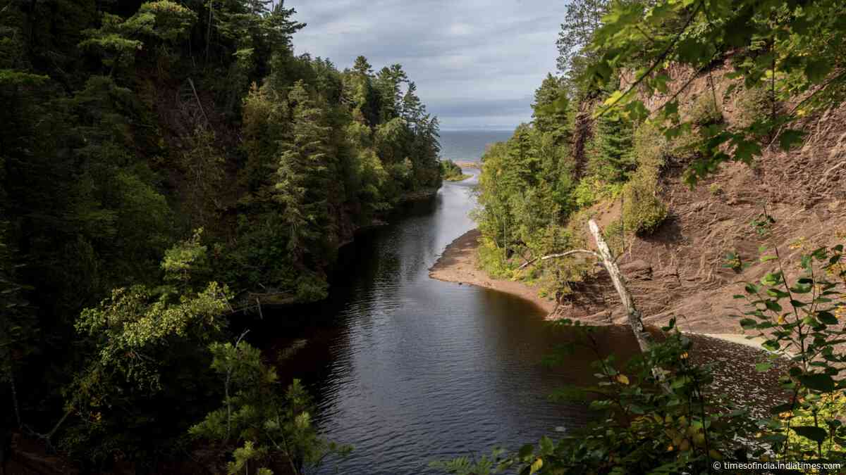 Wisconsin protects over 1,700 Lake Superior acres, restores wetlands and habitat