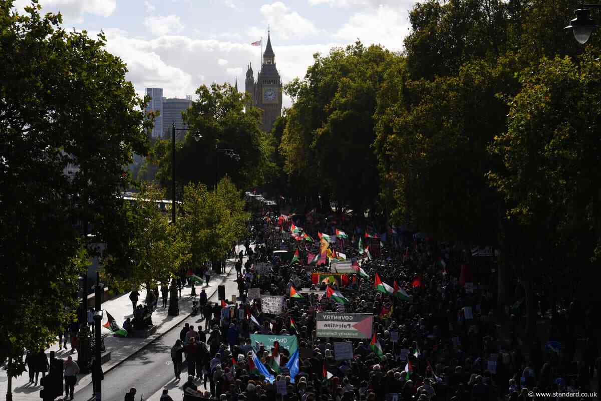 Several arrests made as thousands descend on London for pro-Palestine protest