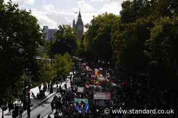 Several arrests made as thousands descend on London for pro-Palestine protest