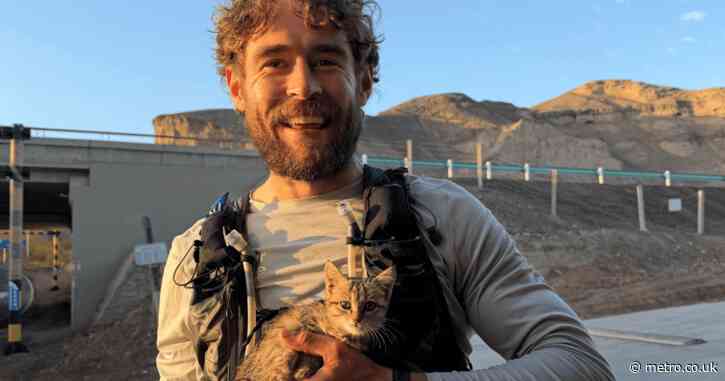 Runner pauses Beijing to London record attempt to rescue kitten abandoned in Gobi desert
