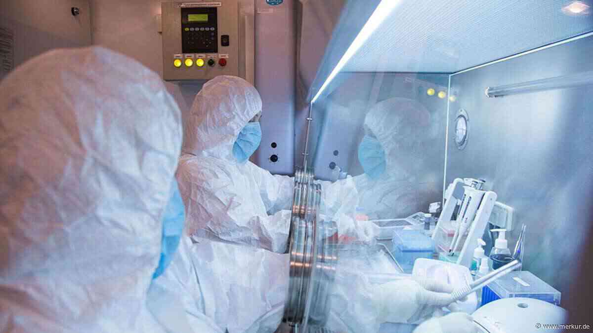 Amerikanischer Ex-Direktor warnt: Pesterreger in Russland könnten „manipuliert“ worden sein