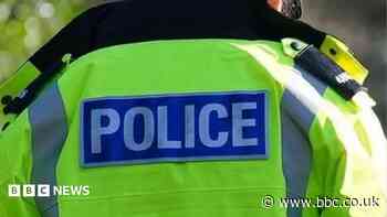 Man arrested after boy, 11, injured in 'dog attack'