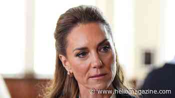 Kate Middleton forced to apologise during meeting with the public