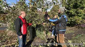 Hunderte Gifhorner zu Besuch auf Opa Ernys paradiesischer Streuobstwiese