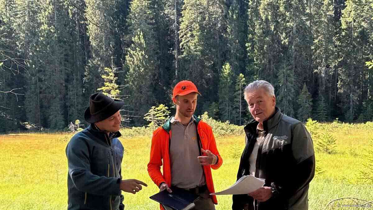 Inventur im Forst: Das ist zu tun, damit der Wald zukunftssicher wächst