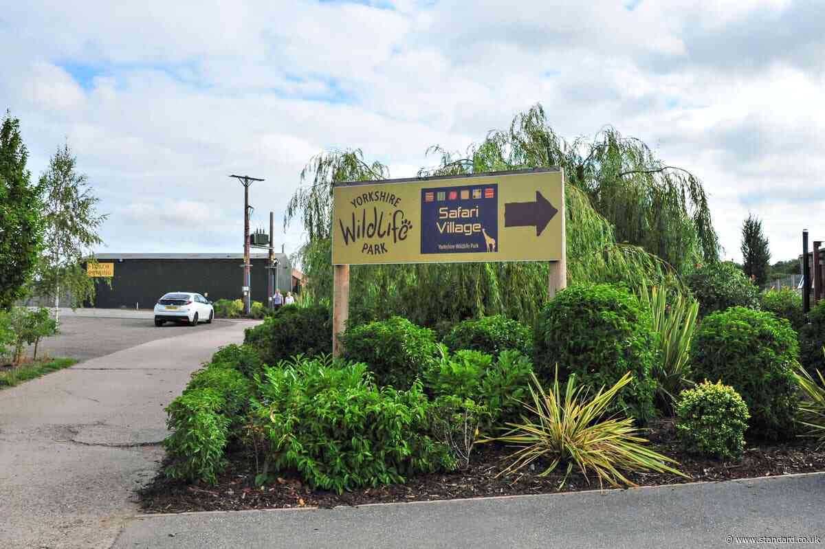 Man sustained ‘serious injuries’ in tiger enclosure at Yorkshire Wildlife Park