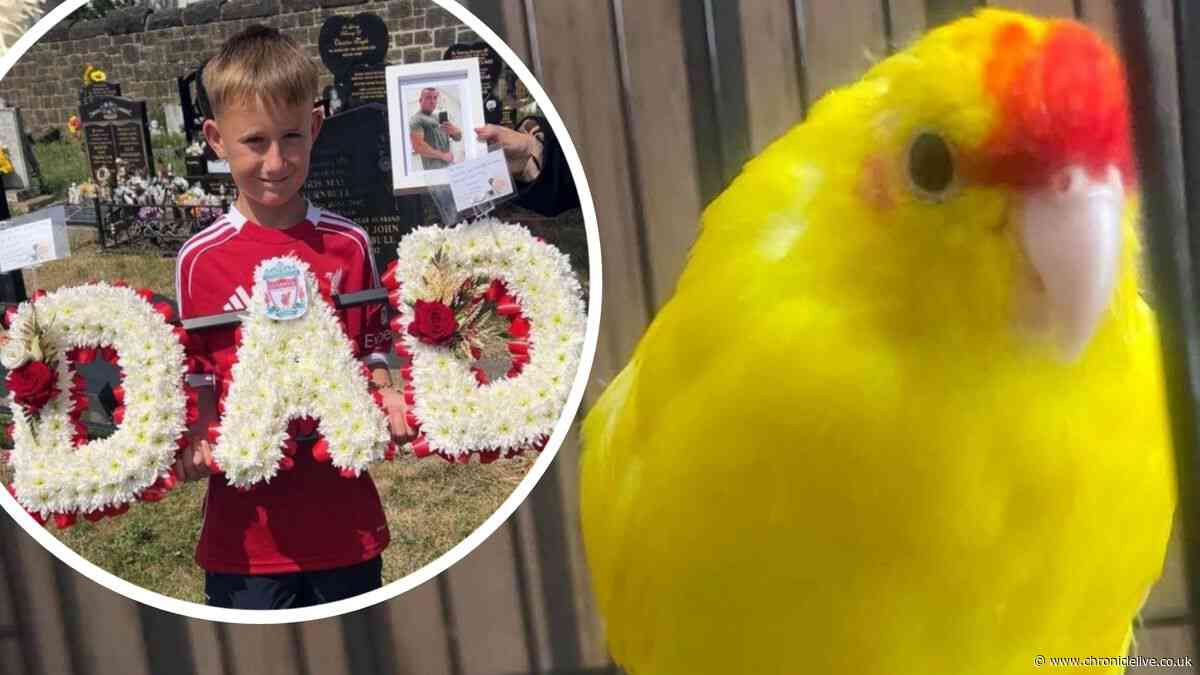 Family of brave Gateshead 10-year-old fundraising for new parrot after battles with grief and injury