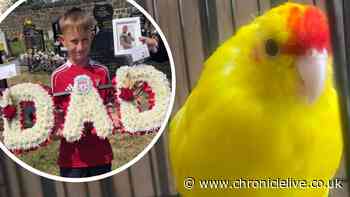 Family of brave Gateshead 10-year-old fundraising for new parrot after battles with grief and injury