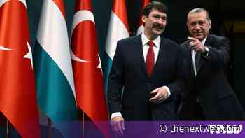 Turkey’s social media ban for under-15s starts on 1 November
