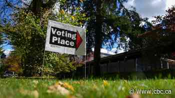 Overlapping elections in B.C. causing confusion: candidates