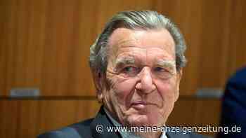 Forderungen nach Schröder-Rauswurf in der SPD