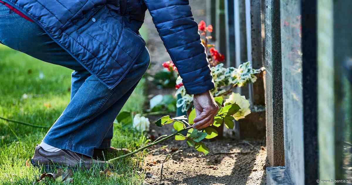 Ze timmeren zelf de doodskist voor de herbegrafenis: hoe het ruimen van graven in Markelo is gegaan