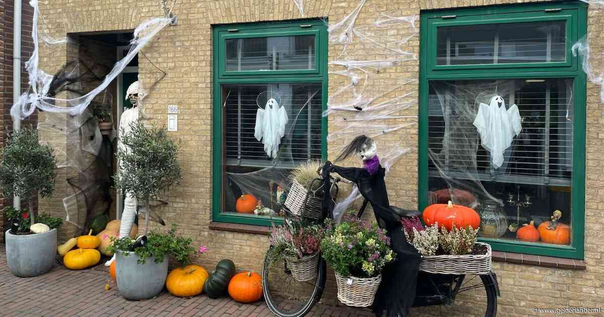 Laten zien! Heb jij het engste halloweenhuis van Arnhem?