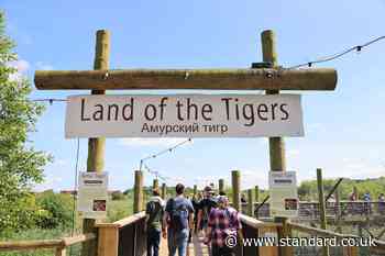A man has died after entering a tiger enclosure at Yorkshire Wildlife Park