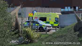 Yorkshire Wildlife Park evacuated LIVE updates after visitor mauled to death by tiger, police and ambulance statements