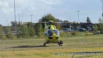 Yorkshire Wildlife Park tiger mauls man to death - police update