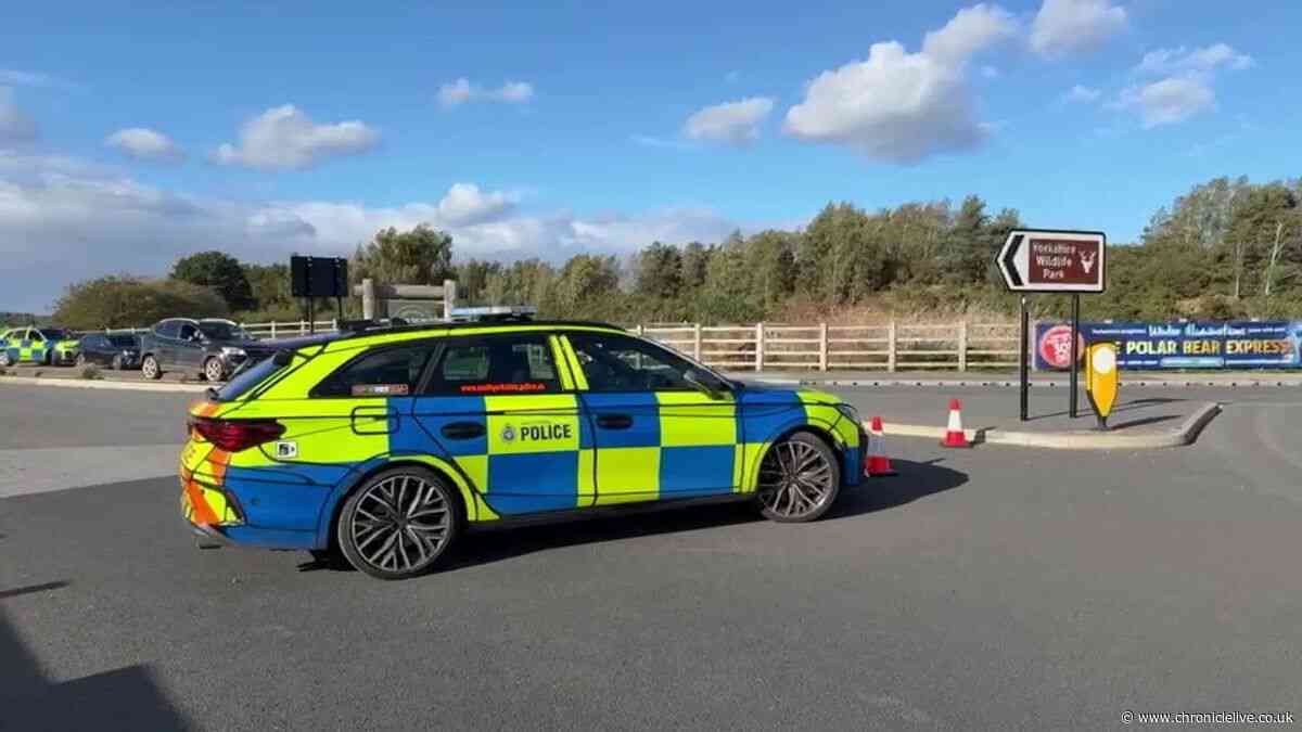 Man dies after entering tiger enclosure at Yorkshire Wildlife Park