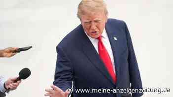 Trump fordert Ablösung des ukrainischen Präsidenten