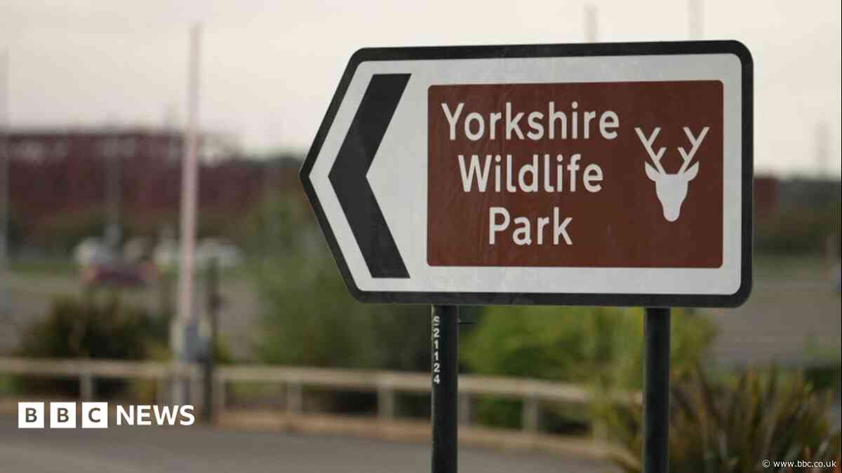 Man dies after tiger attack at wildlife park