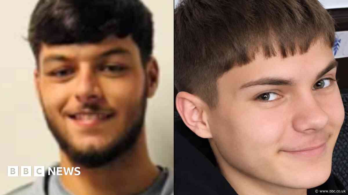 Families pay tribute to teenagers killed in crash