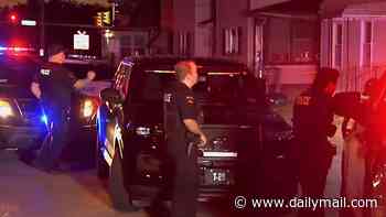 Erie gunman killed eight including pregnant woman and two children before barricading himself inside home in SWAT standoff as police say rampage is 'most heartbreaking scene they've ever encountered'