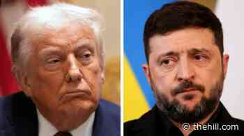 Trump rips Zelensky amid Russia diesel deal feud: 'I suggest they get a new leader'