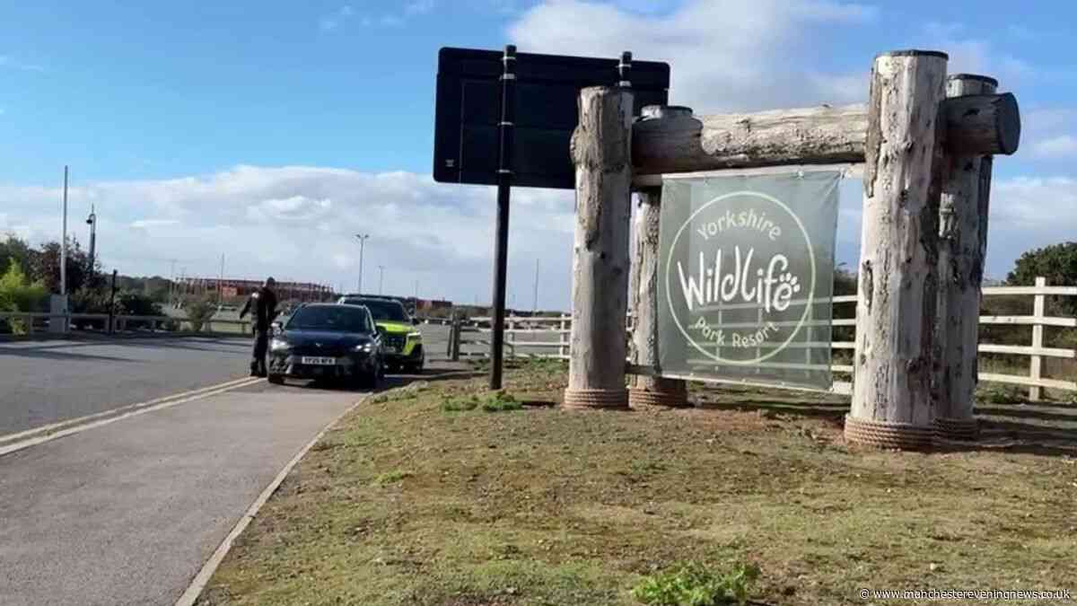 Police issue update on condition of tiger after man tragically dies at Yorkshire Wildlife Park