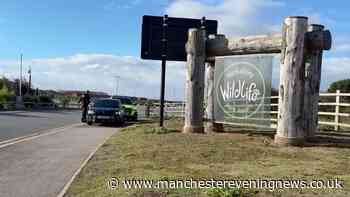 Police issue update on condition of tiger after man tragically dies at Yorkshire Wildlife Park