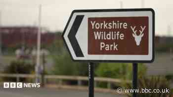 Man dies after tiger attack at wildlife park