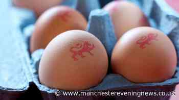 UK households told to 'dispose' of eggs from European country as salmonella identified