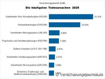 Dies waren 2025 die häufigsten Todesursachen