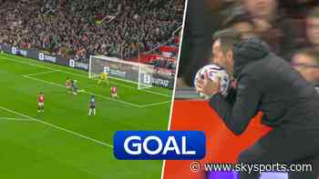 De Zerbi goes wild after Solanke’s late equaliser for 10-man Spurs!