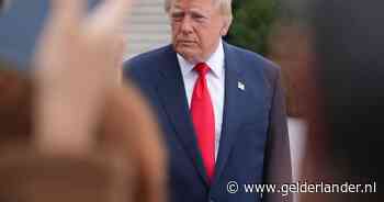 Trump: ‘Tijd dat Oekraïne nieuwe president krijgt, Zelensky kan beter stoppen’