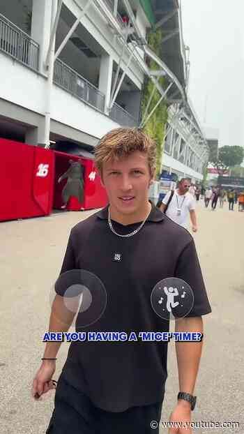 Rats the spirit 🐀 #F1 #VCARB