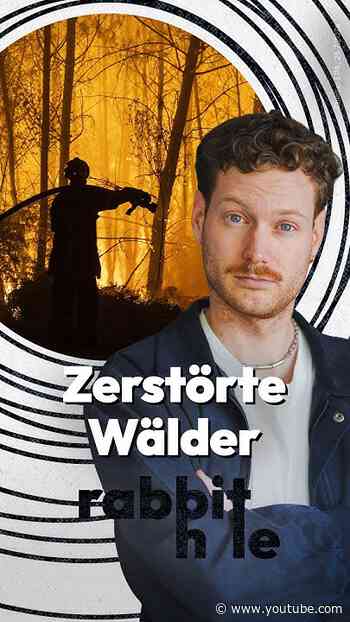 Wie viel Wald ist diesen Sommer verbrannt?