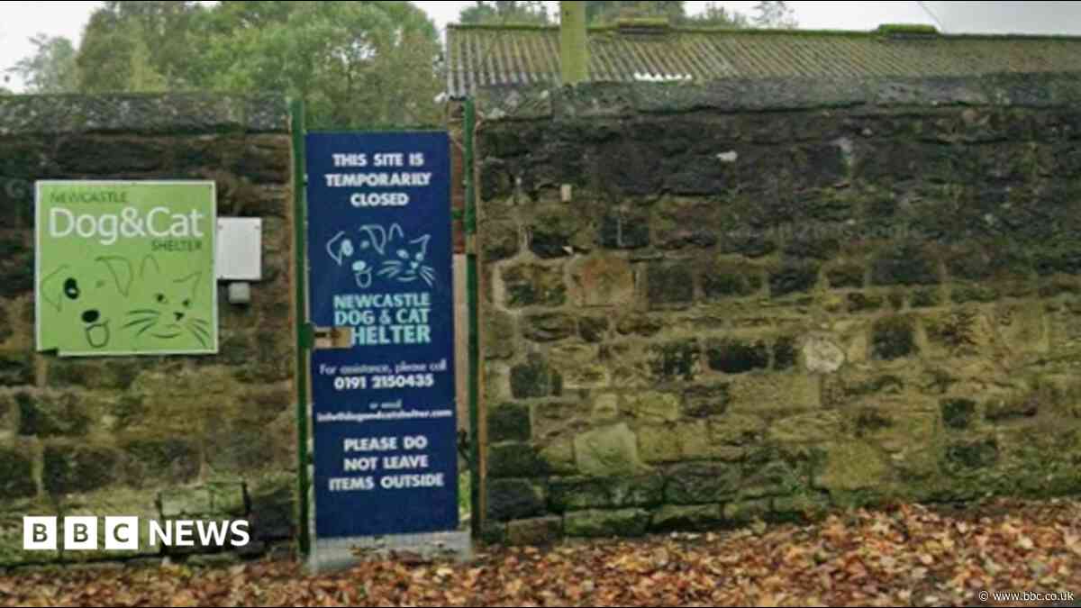 Plans for police kennels at former animal shelter