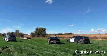 2 dead after plane crash, fire near Fergus, Ont.