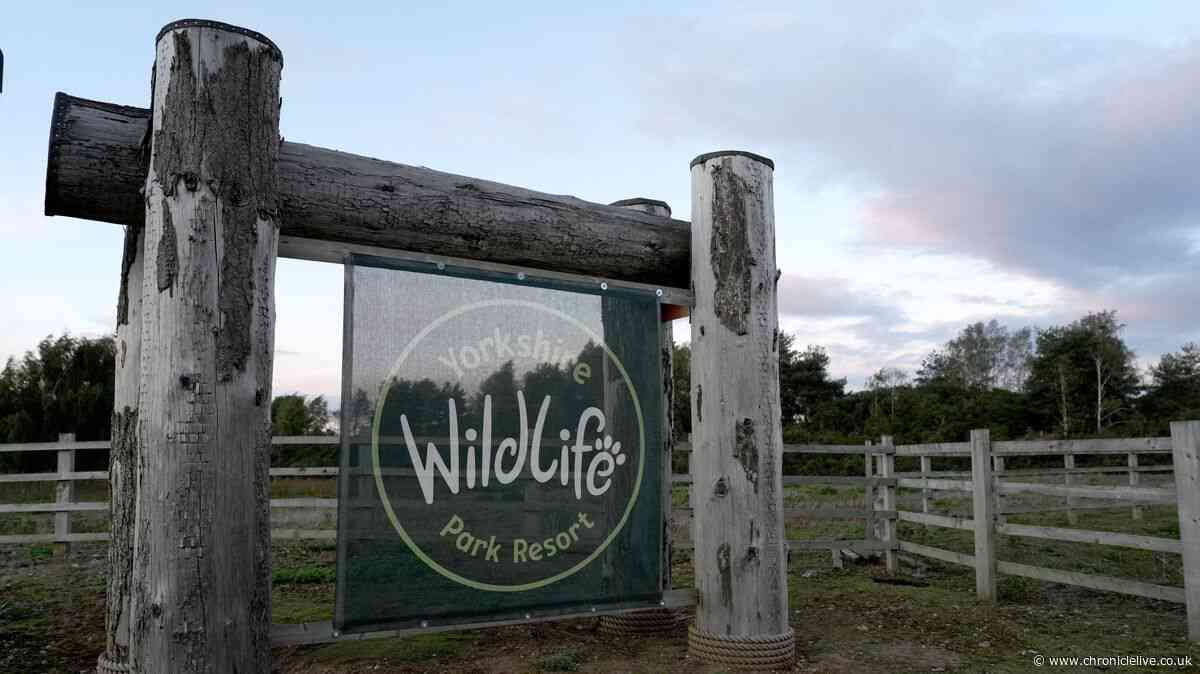 'We are deeply saddened' - Wildlife Park issues statement as man dies after entering tiger enclosure