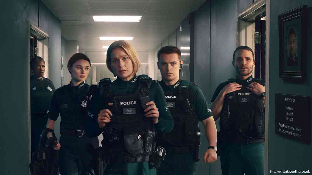 Sublime Blue Lights is the best thing to binge-watch on television right now